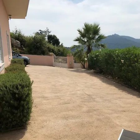 Acquella فيلة *